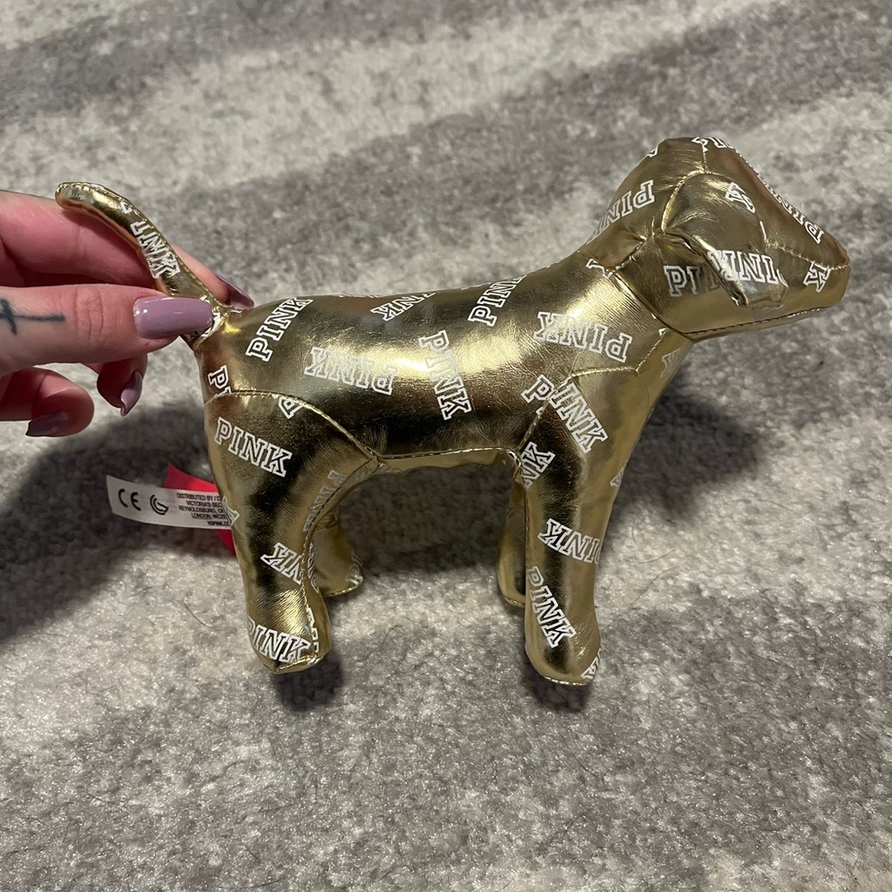 VS PINK Dog